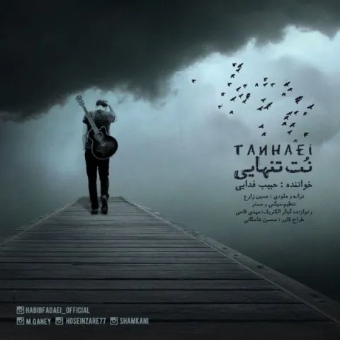 دانلود آهنگ حبیب فدایی به نام نت تنهایی + متن آهنگ