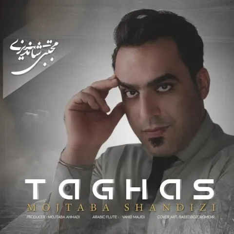 دانلود آهنگ مجتبی شاندیزی به نام تقاص + متن آهنگ