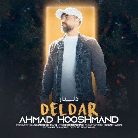 احمد هوشمند