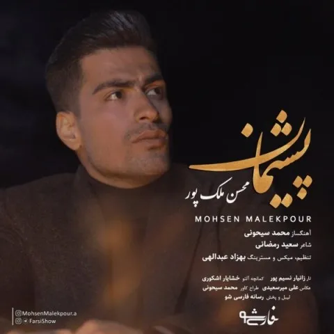 دانلود آهنگ محسن ملک پور به نام پشیمان + متن آهنگ