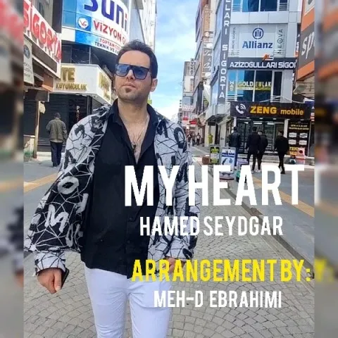 دانلود آهنگ حامد صیدگر به نام قلبم + متن آهنگ