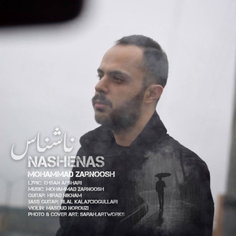 محمد زرنوش ناشناس