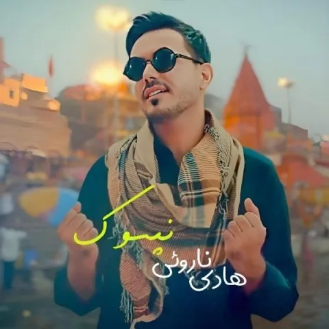 دانلود آهنگ هادی ناروئی به نام نپسوک + متن آهنگ