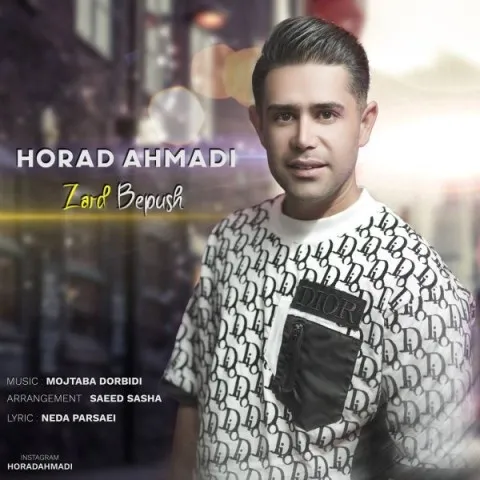 دانلود آهنگ هوراد احمدی به نام زرد بپوش + متن آهنگ
