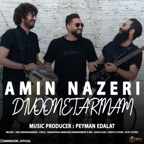 امین ناظری دیوونه ترینم