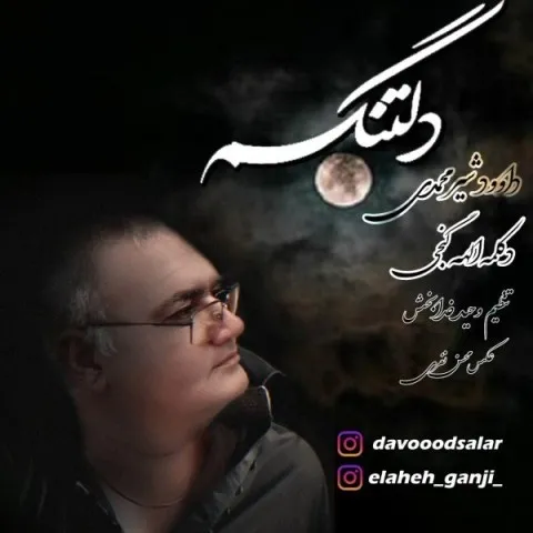 دانلود آهنگ داود شیر محمدی به نام دلتنگم