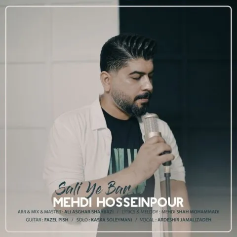 دانلود آهنگ مهدی حسین پور به نام سالی یه بار + متن آهنگ