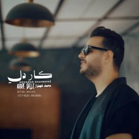 دانلود آهنگ محمد شهنواز به نام کار دله + متن آهنگ