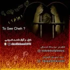 دانلود آهنگ احمد شریفی به نام تو سی چه + متن آهنگ