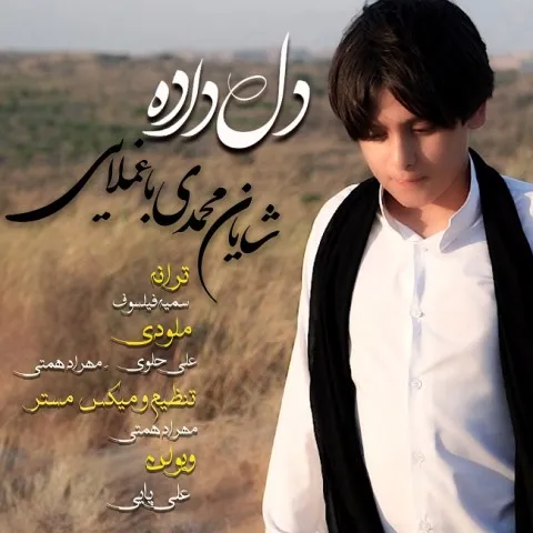دانلود آهنگ شایان محمدی باغملایی به نام دلداده