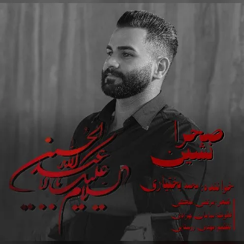 دانلود آهنگ محمد بختیاری به نام صحرا نشین