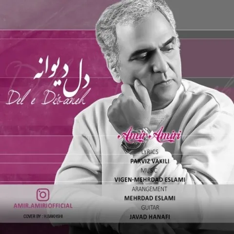 دانلود آهنگ امیر امیری به نام دل دیوانه + متن آهنگ