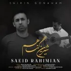 دانلود آهنگ سعید رحیمیان به نام شیرین گناهم