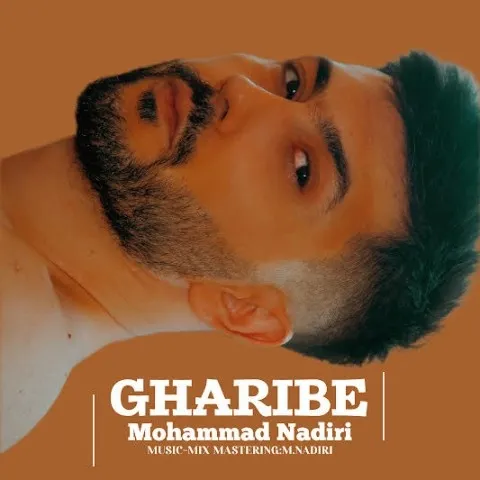 دانلود آهنگ محمد ندیری به نام غریبه