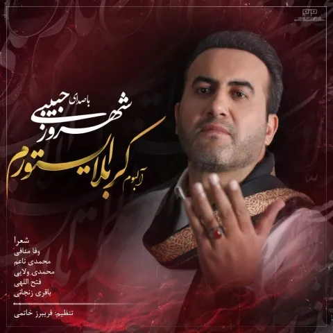 دانلود آلبوم شهروز حبیبی به نام کربلا ایستورم