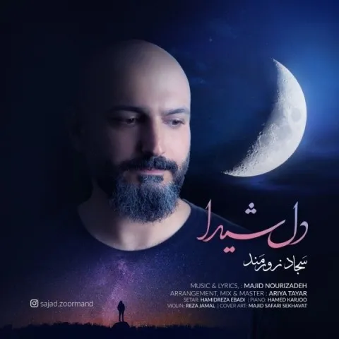 دانلود آهنگ سجاد زورمند به نام دل شیدا + متن آهنگ