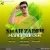 مهدی علیپور - شه زاده