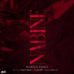علیرضا زنگی - نبینه