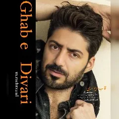 محمد مهرزاد - قاب دیواری
