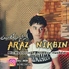 آراز نیک بین - مادر