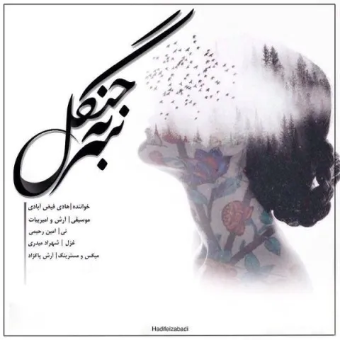 دانلود آهنگ هادی فیض آبادی به نام سر به جنگل + متن آهنگ