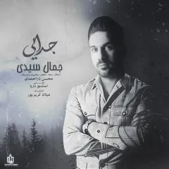 جمال سیدی - جدایی