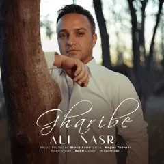 علی نصر - غریبه