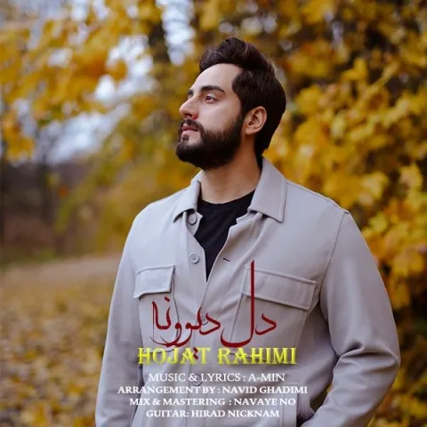 دانلود آهنگ حجت رحیمی به نام دل دیوونه + متن آهنگ
