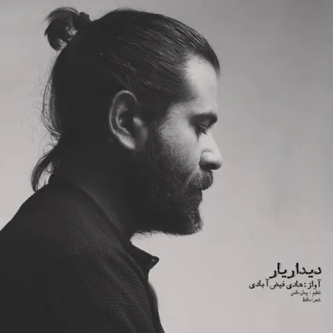 دانلود آهنگ هادی فیض آبادی به نام دیدار یار + متن آهنگ