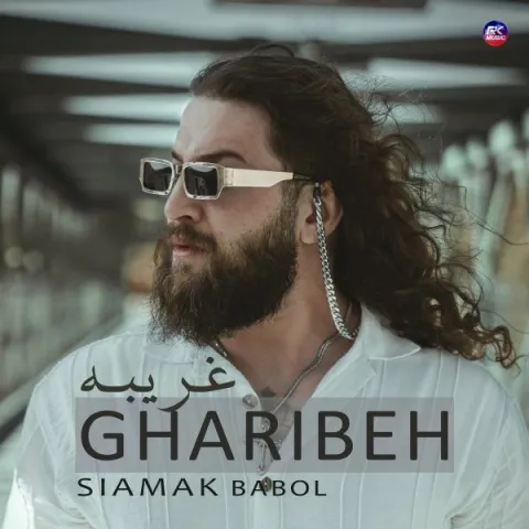 دانلود آهنگ سیامک بابل به نام غریبه