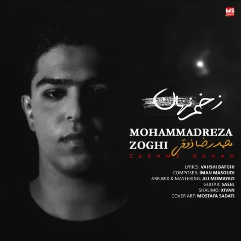 دانلود آهنگ محمدرضا ذوقی به نام زخم نهان + متن آهنگ