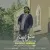 محمد مهرزاد - عاشق و مجنون
