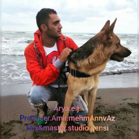 آریا ای جی هدف