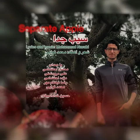 دانلود آلبوم محمد نوابی به نام سیب جدا