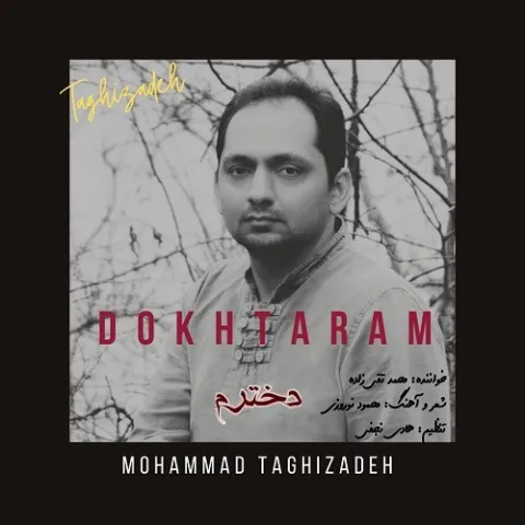 دانلود آهنگ محمد تقی زاده به نام دخترم