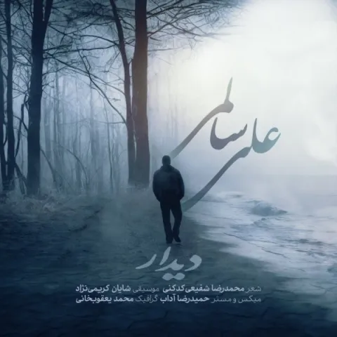 دانلود آهنگ علی سالمی به نام دیدار + متن آهنگ