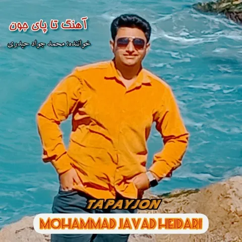 دانلود آهنگ محمد جواد حیدری به نام تا پای جون
