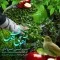 دانلود آهنگ حسین خسروخاور به نام آهوی سرخوش + متن آهنگ