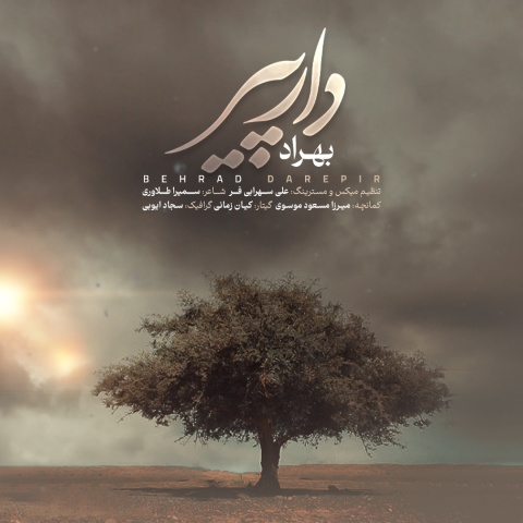 بهراد بهنام پور دار پیر