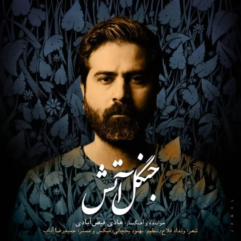 دانلود آهنگ هادی فیض آبادی به نام جنگل آتش