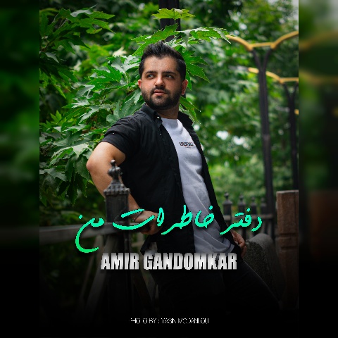 امیر گندم کار دفتر خاطرات من