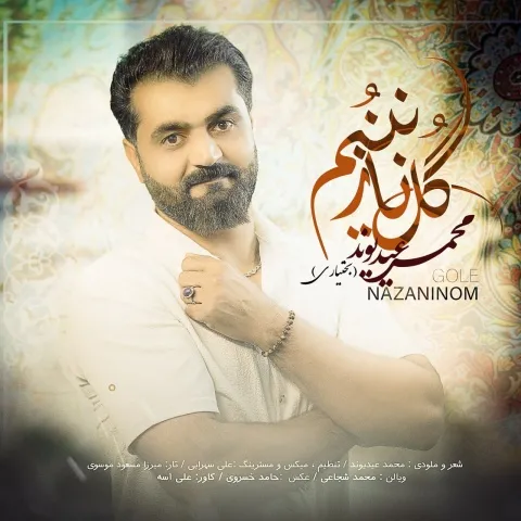 دانلود آهنگ محمد عیدیوند به نام گل نازنینم + متن آهنگ