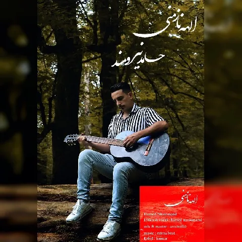 دانلود آهنگ حامد نیرومند به نام الهه نازمنی + متن آهنگ
