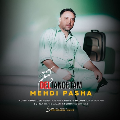 مهدی پاشا دلتنگتم