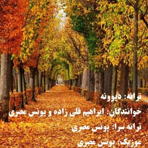 دانلود آهنگ ابراهیم قلی زاده و یونس مصری به نام دیوونه