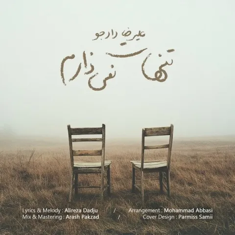 دانلود آهنگ علیرضا دادجو به نام تنهات نمیذارم