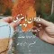 دانلود آهنگ مهدی دلیلیان به نام بارون پاییزی + متن آهنگ