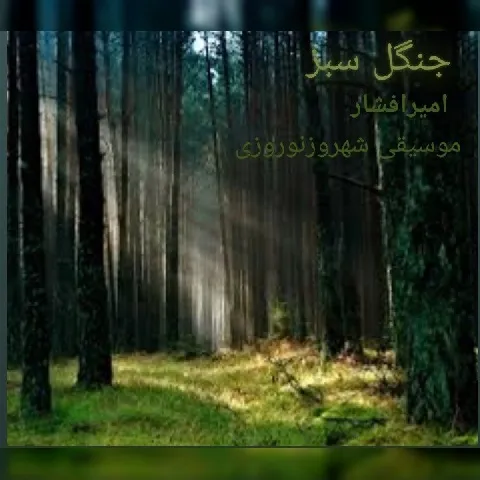 دانلود آهنگ امیر افشار به نام جنگل سبز