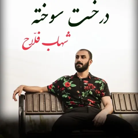 دانلود آهنگ شهاب فلاح به نام درخت سوخته + متن آهنگ