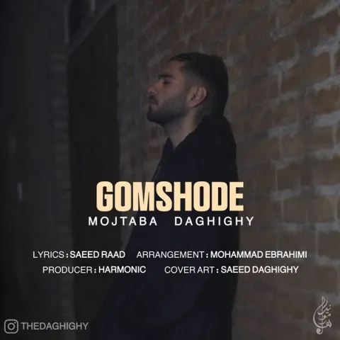 دانلود آهنگ مجتبی دقیقی به نام گمشده